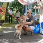 Guest greeting two leashed dogs in the garden at Blu Monkey Pooltara Krabi